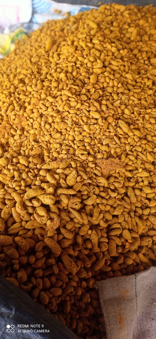 Turmeric